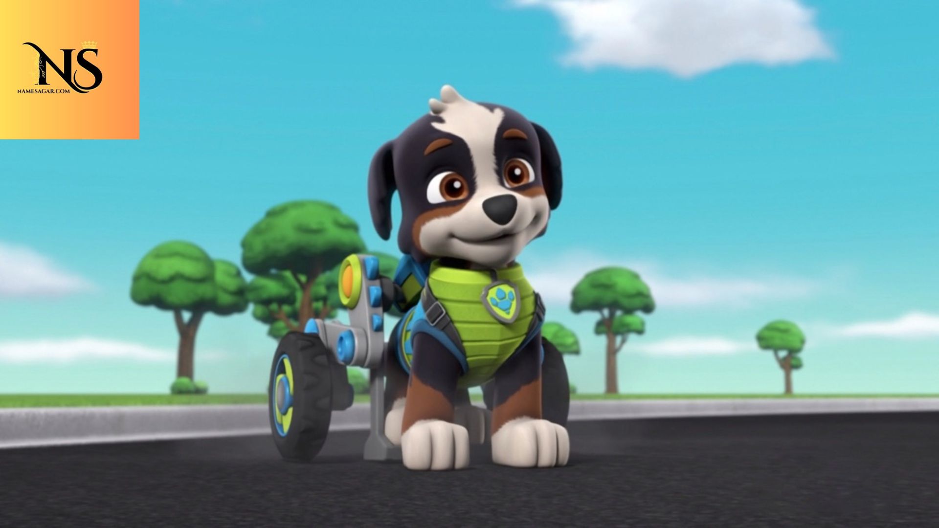 350 Best Paw Patrol Dog Names With Meaning for 2026