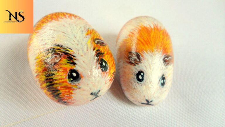 400 Best Pet Rock Names With Meanings for 2026