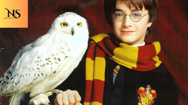 500 Best Harry Potter Pet Names With Meaning for 2026