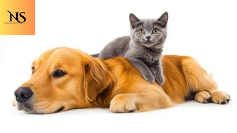 550 Best Gender Neutral Pet Names with Meanings for 2026