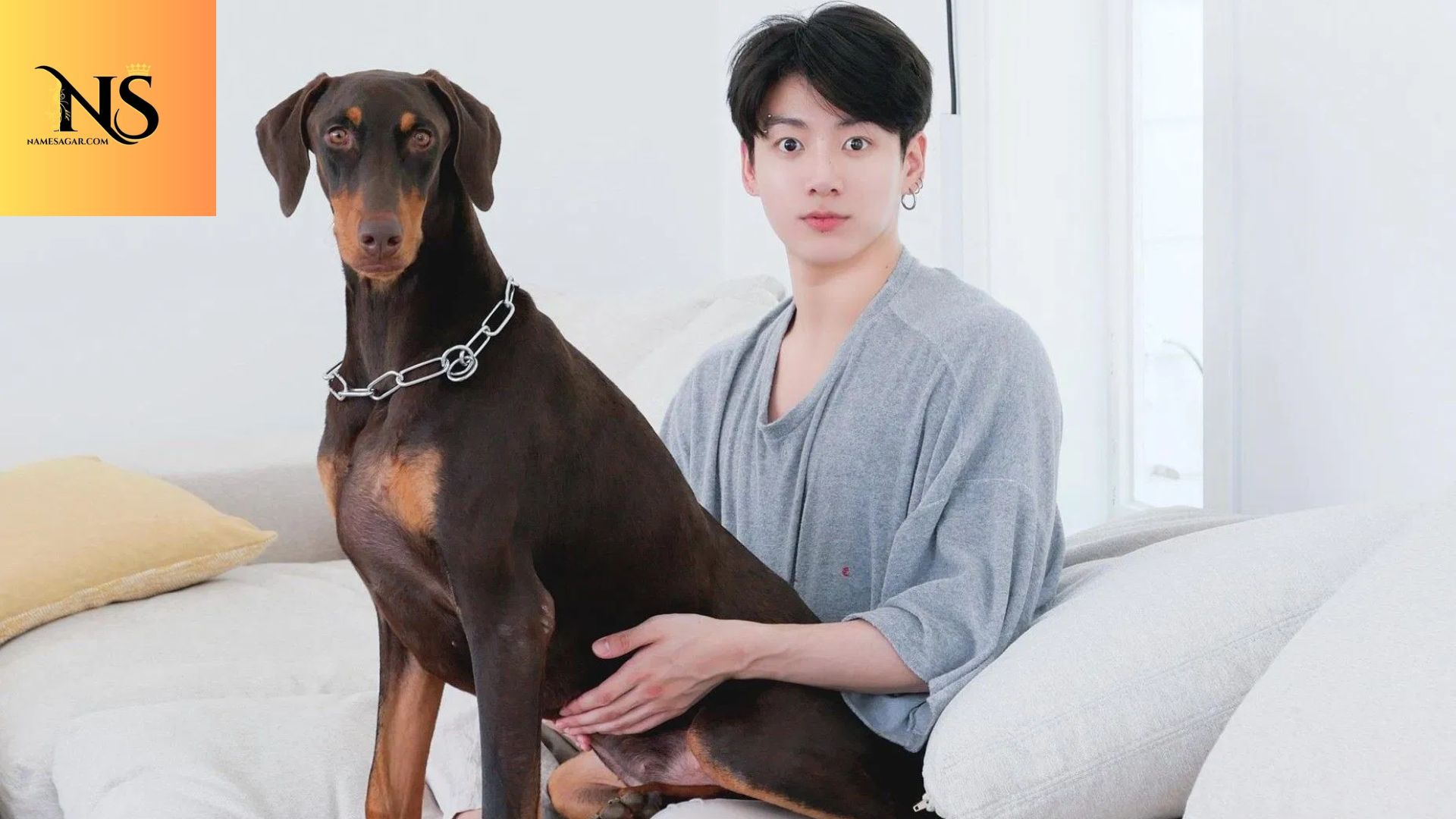 600 Best Korean Pet Names With Meaning for 2026