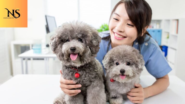 700 Best Chinese Pet Names with Meanings for 2026