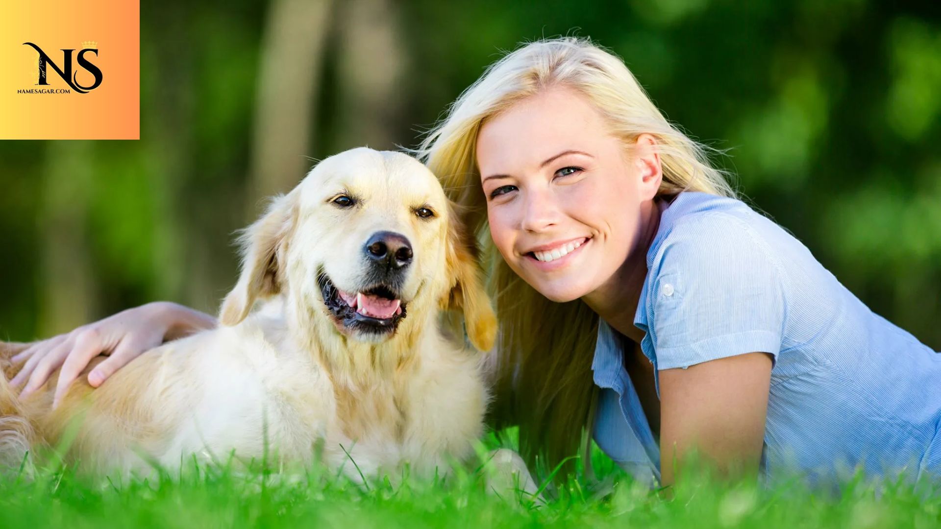 800 Best Spanish Pet Names with Meanings for 2026