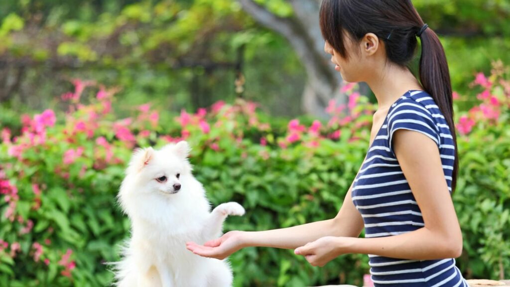 Chinese Pet Names for Girlfriend