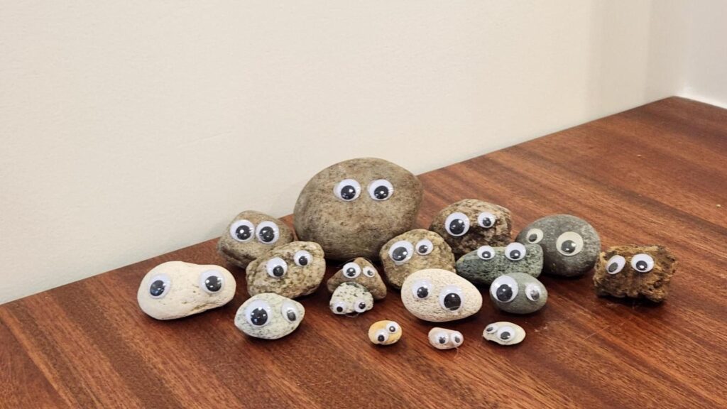 Cool Pet Rock Names