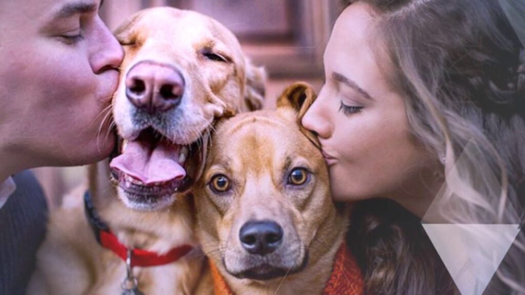 Cute Gender Neutral Pet Names