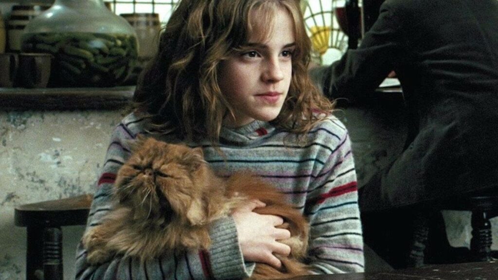 Harry Potter Pet Names Girl