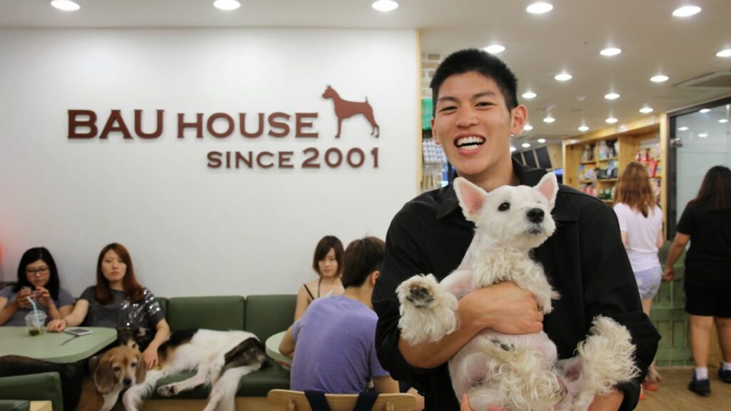 Korean Pet Names for Boyfriend