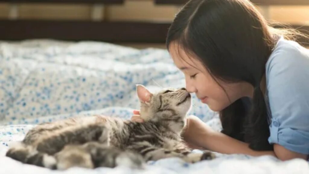 Korean Pet Names for Girlfriend