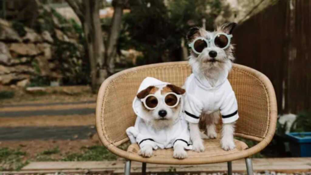 Pet Names in Spanish for Girlfriend 