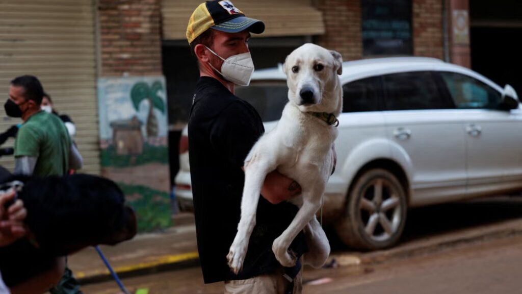 Spanish Pet Names for Him