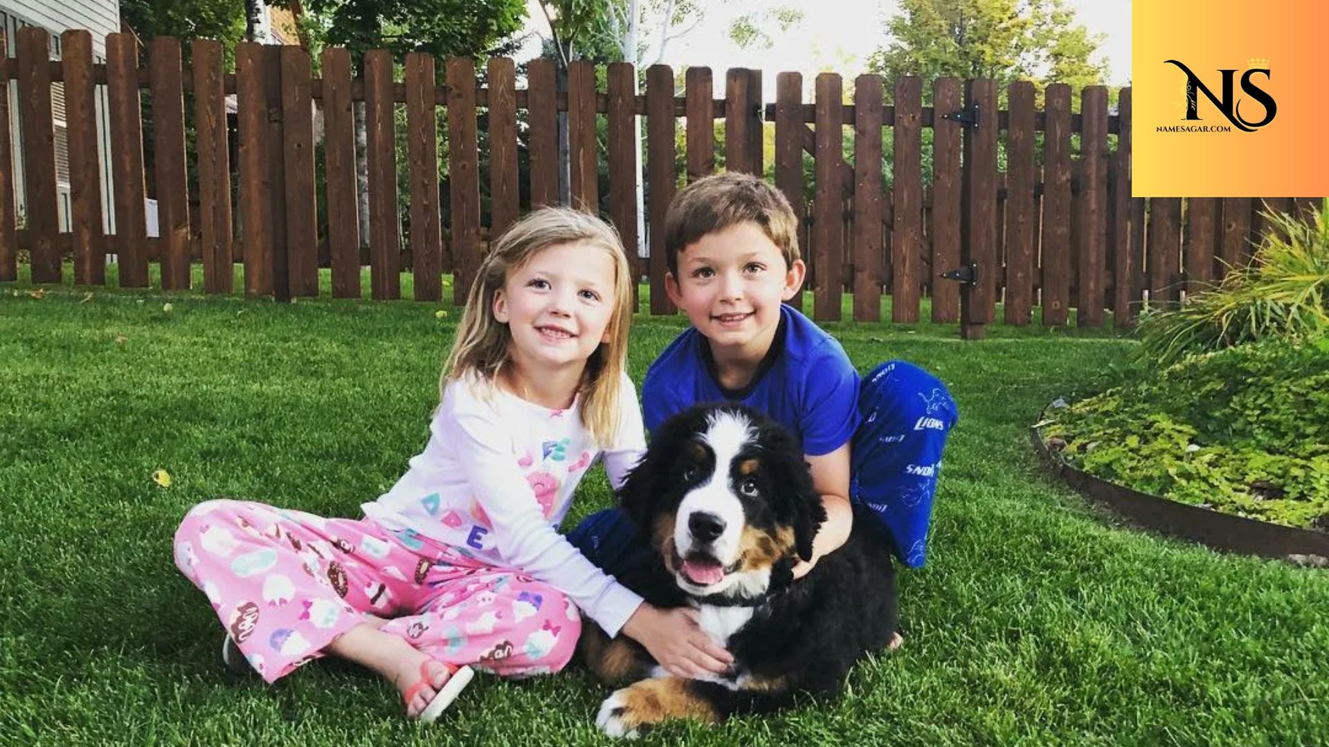 400 Best Country Dog Names With Meaning for 2026