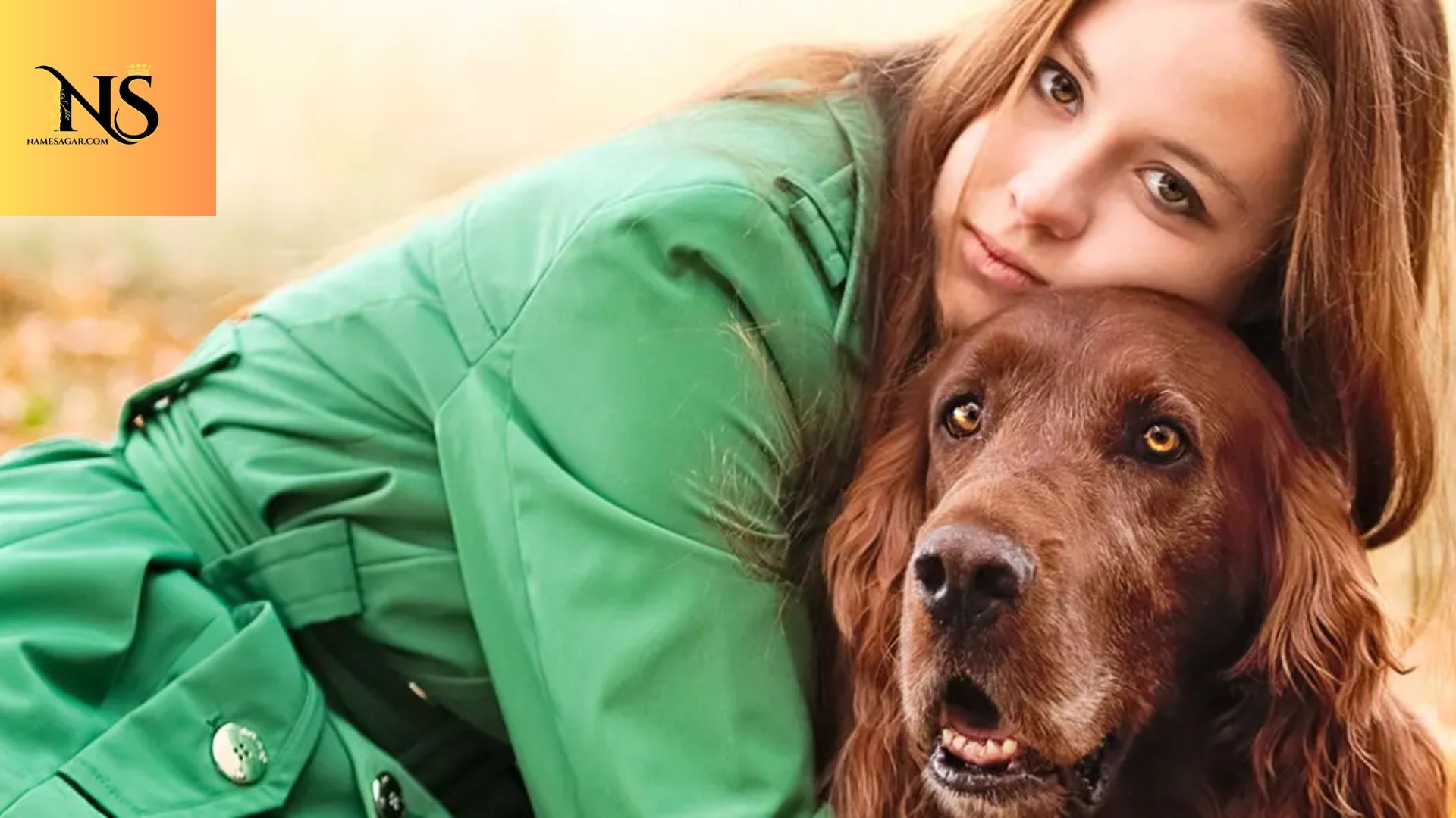 400 Best Irish Dog Names With Meaning for 2026