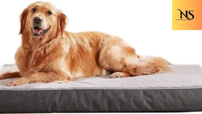 400 Best Tough Dog Names with Meanings for 2026