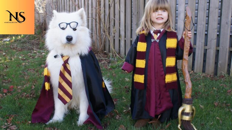 450 Best Harry Potter Dog Names With Meaning for 2026