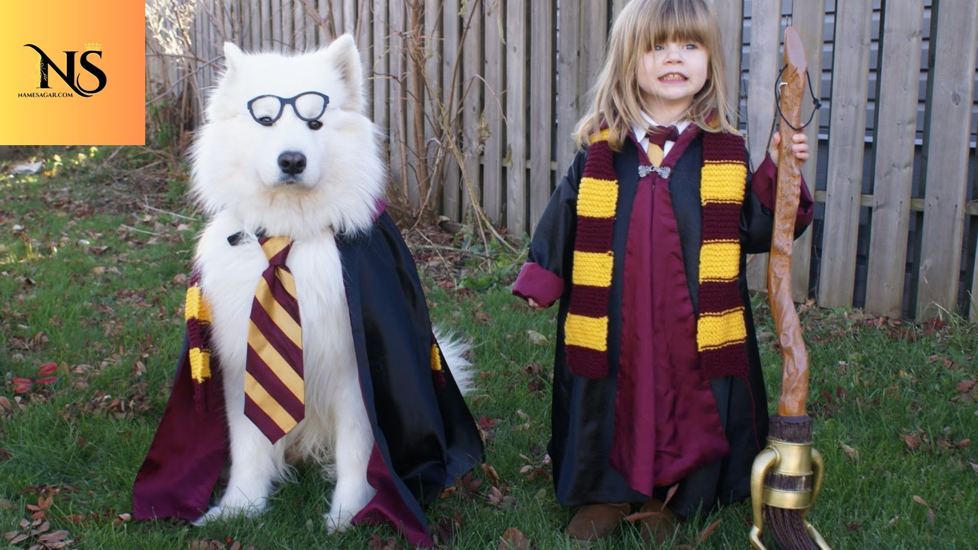 450 Best Harry Potter Dog Names With Meaning for 2026