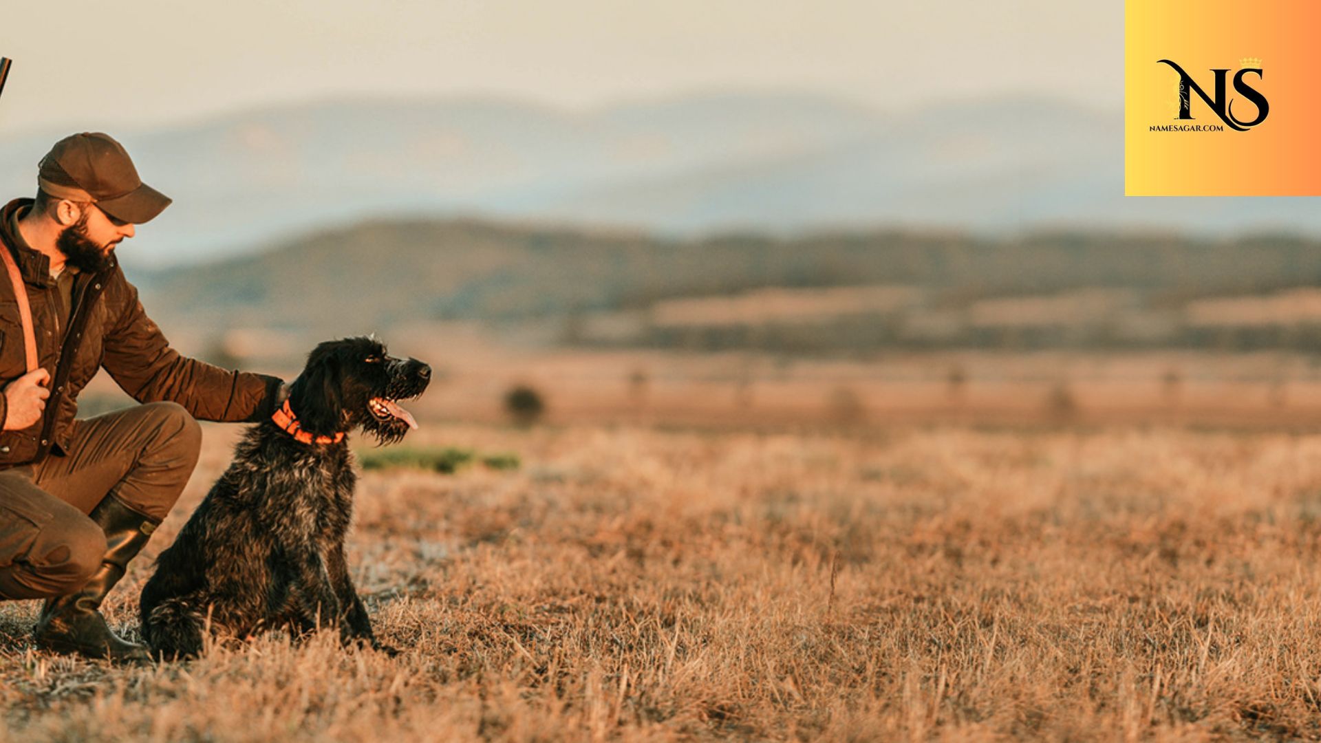 450 Best Hunting Dog Names With Meaning for 2026