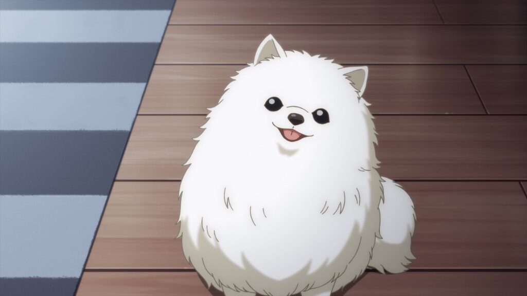 Anime Dog Names Male