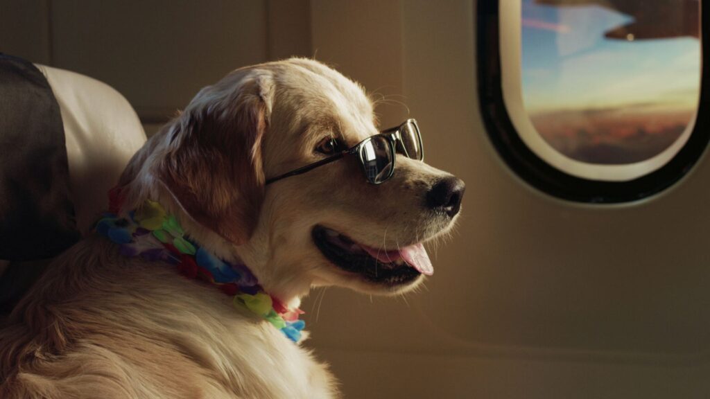 Hawaiian Dog Names Girl