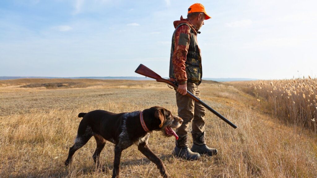 Hunting Dog Names Male