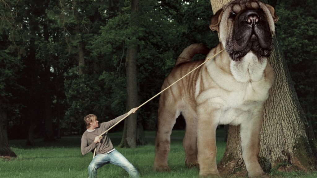 Unique Big Dog Names Male 