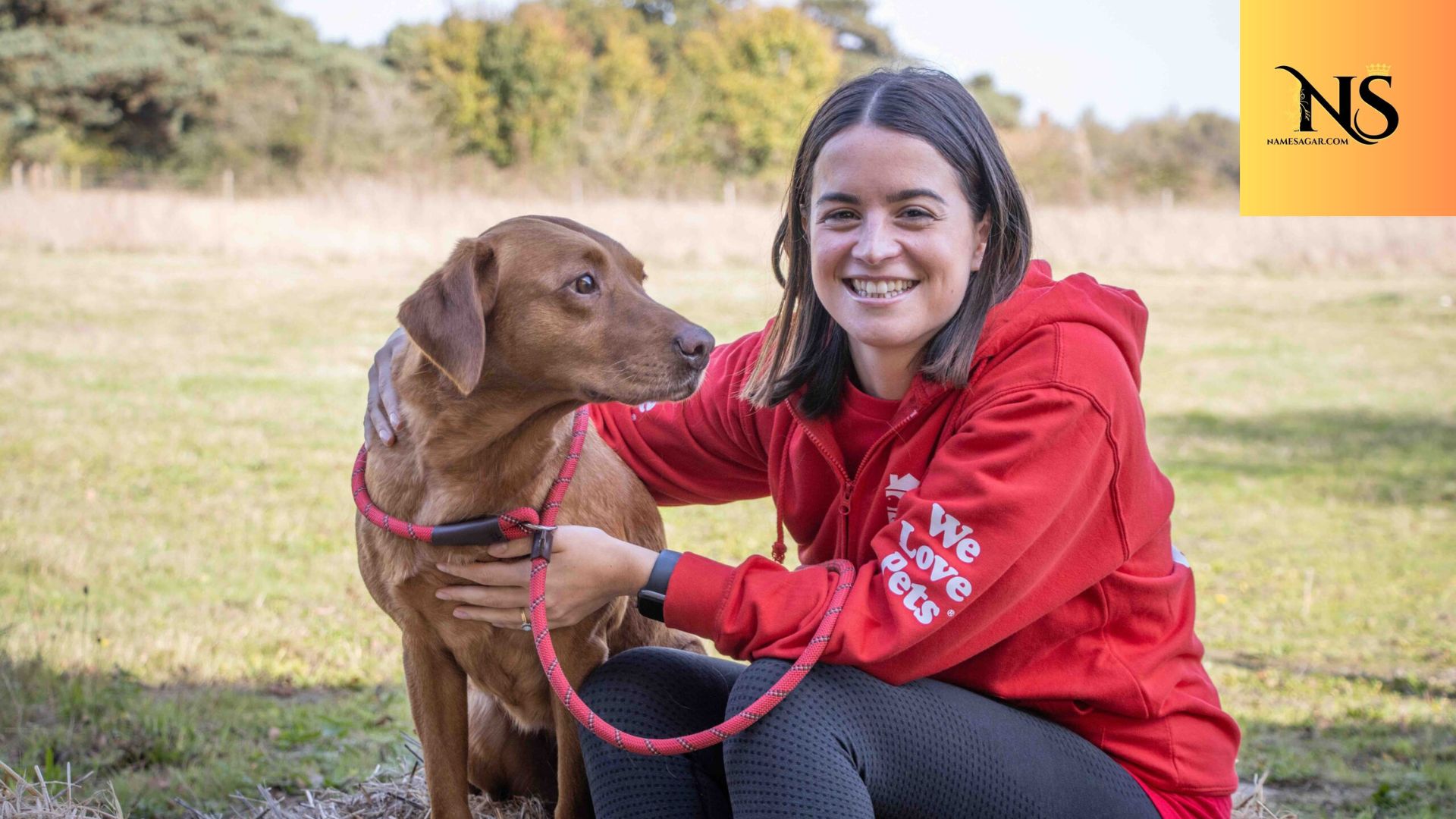 300 Best Scottish Dog Names with Meanings for 2026