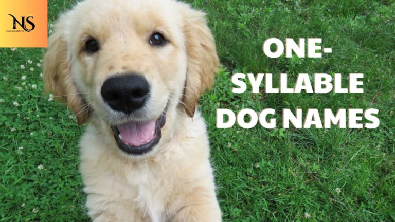 450 Best One Syllable Dog Names with Meanings for 2026