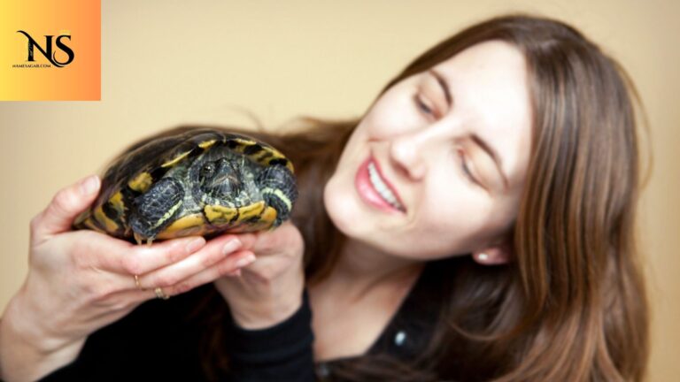 450 Best Pet Turtle Names with Meaning for 2026