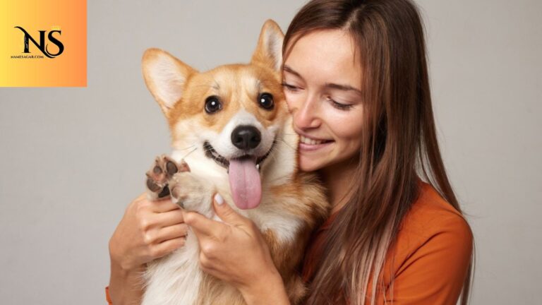 450 Best Red Dog Names with Meanings for 2026