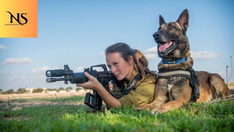 500 Best Military Dog Names with Meanings for 2026