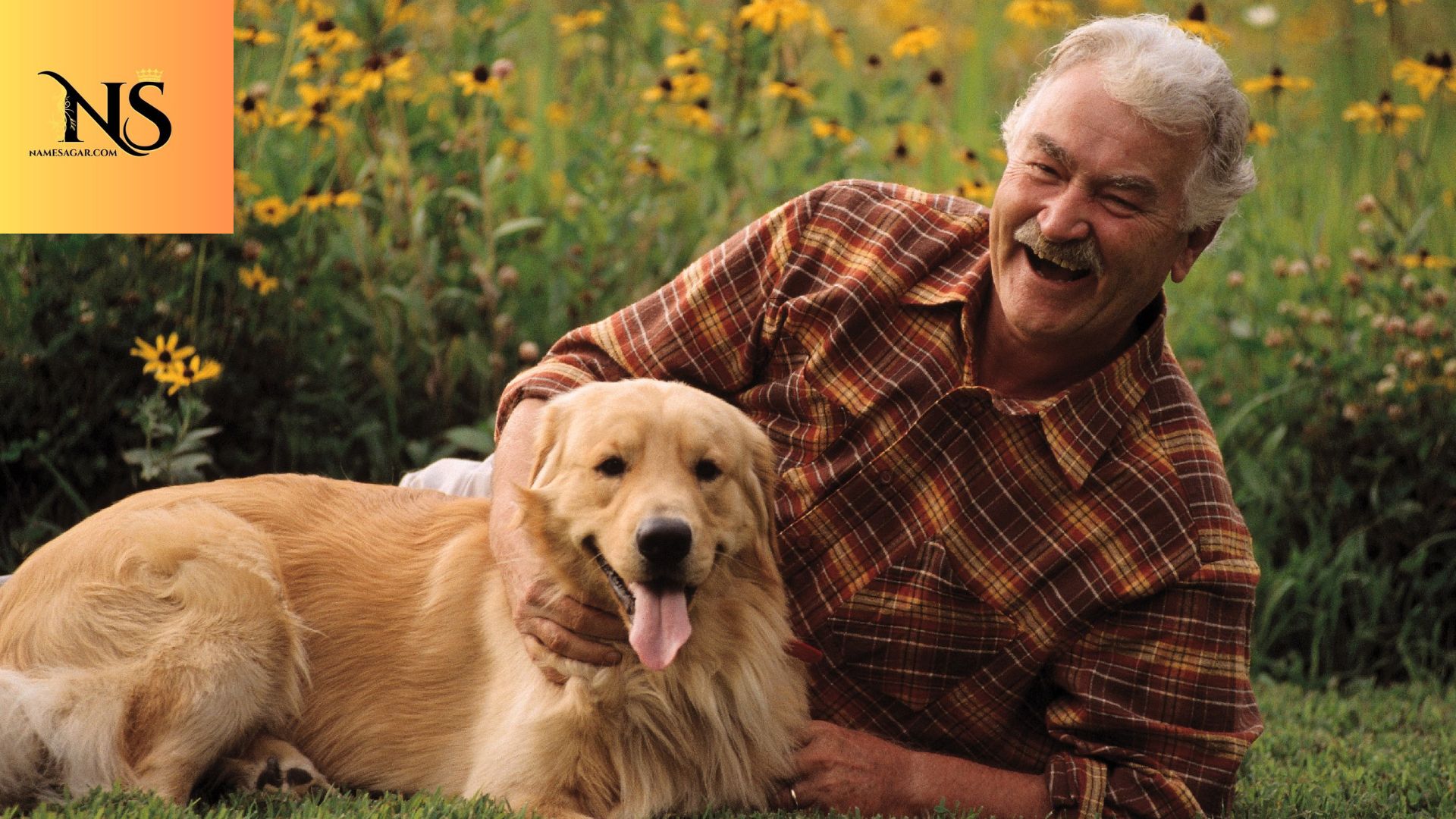 500 Best Old Man Dog Names with Meanings for 2026