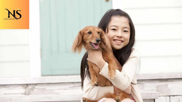 500 Best Wiener Dog Names with Meanings for 2026