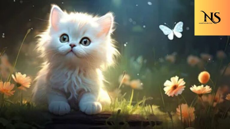 550 Best Cute Cat Names with Meanings for 2026