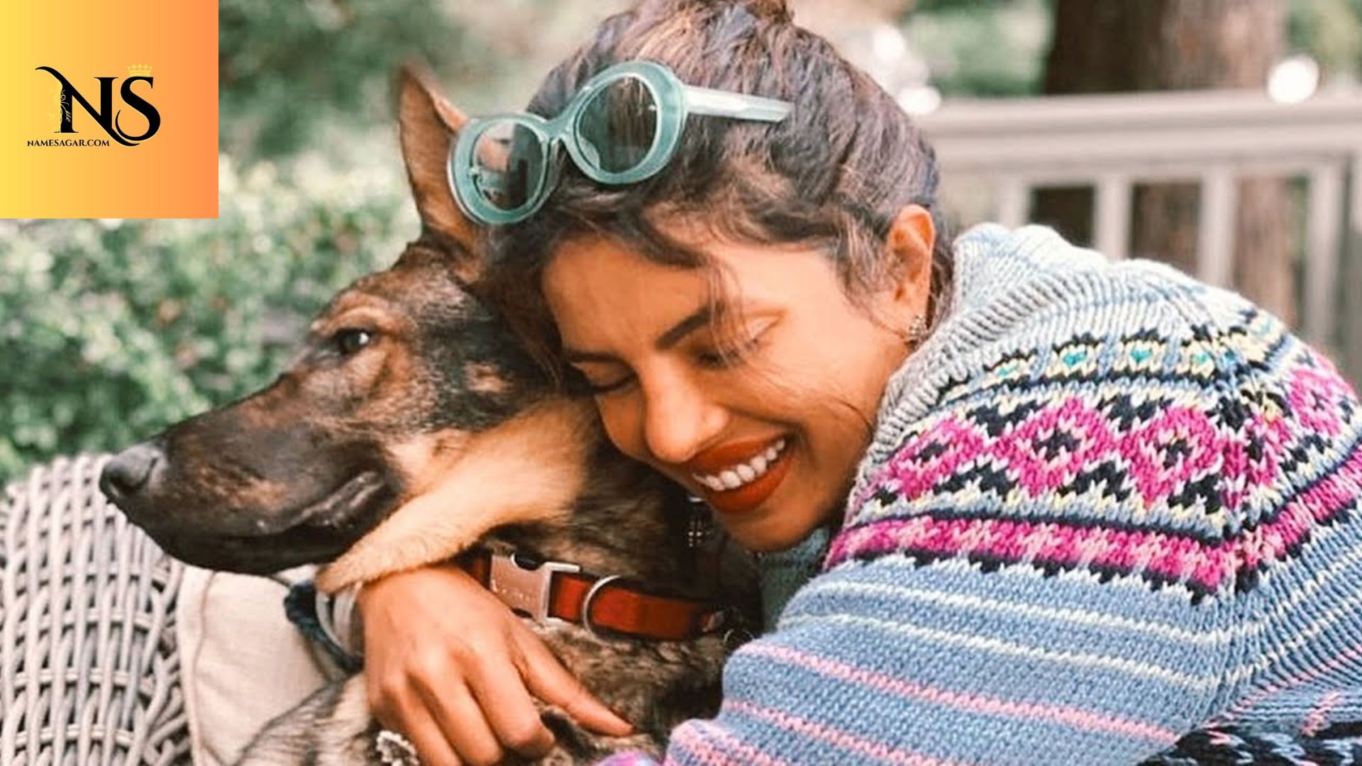 550 Best Indian Dog Names with Meanings for 2026