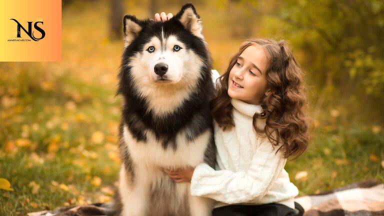 600 Best Husky Dog Names with Meanings for 2026