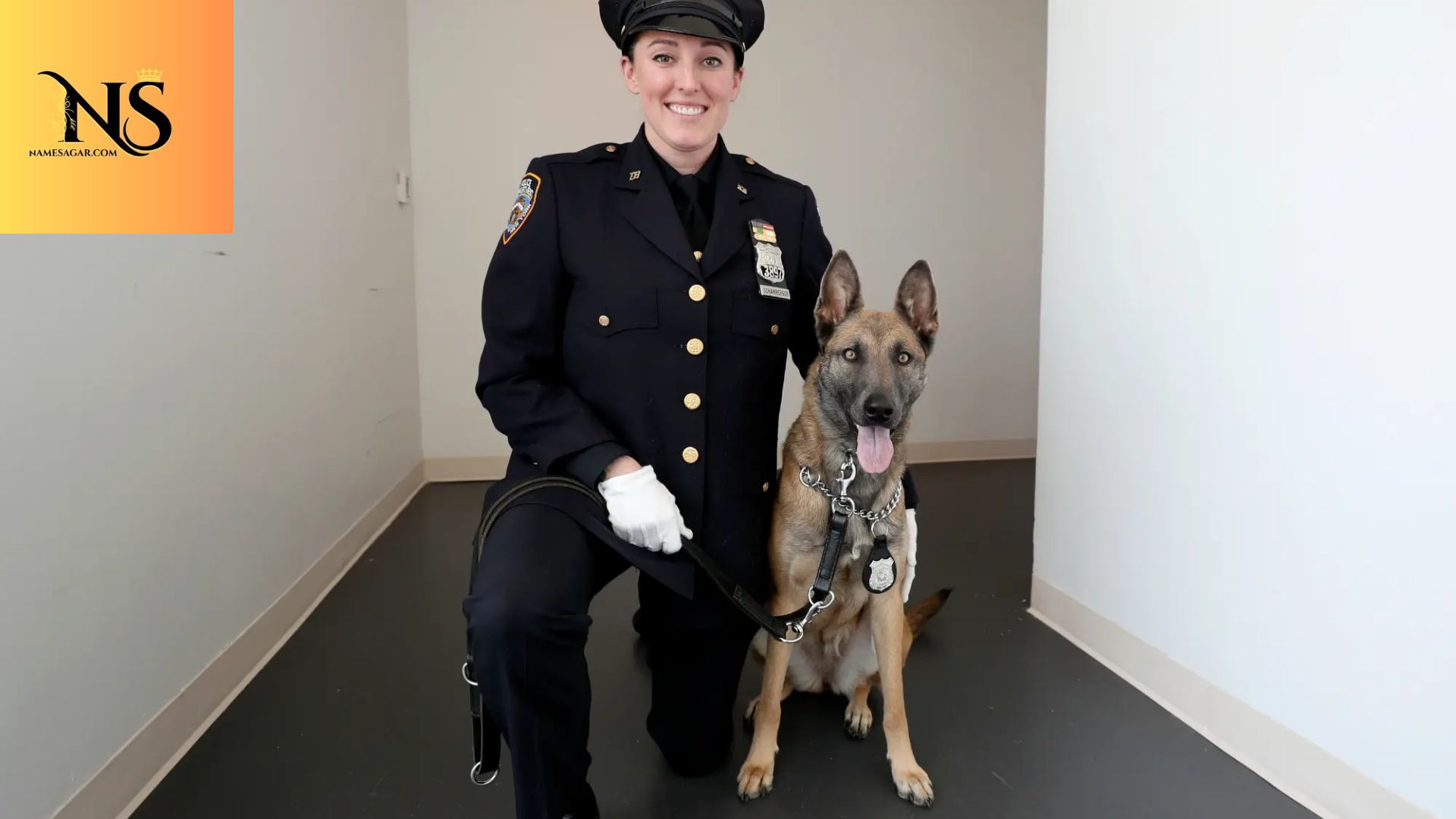 600 Best Police Dog Names with Meanings for 2026