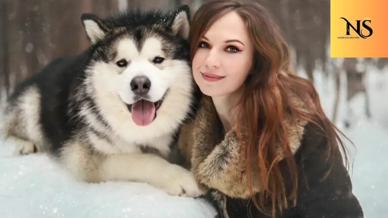 600 Best Russian Dog Names with Meanings for 2026