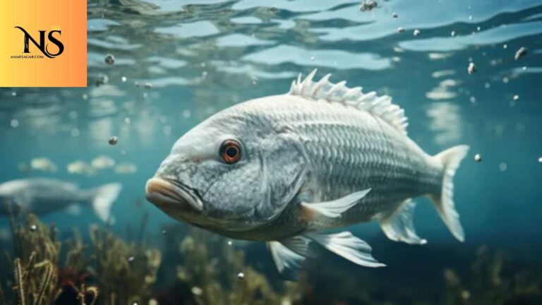 650 Best Pet Fish Names with Meanings for 2026