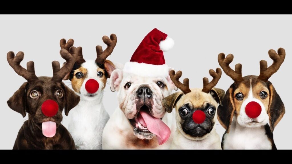  Christmas Dog Names Girl