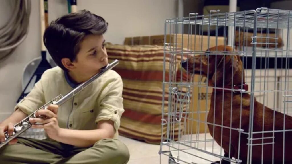  Funny Wiener Dog Names