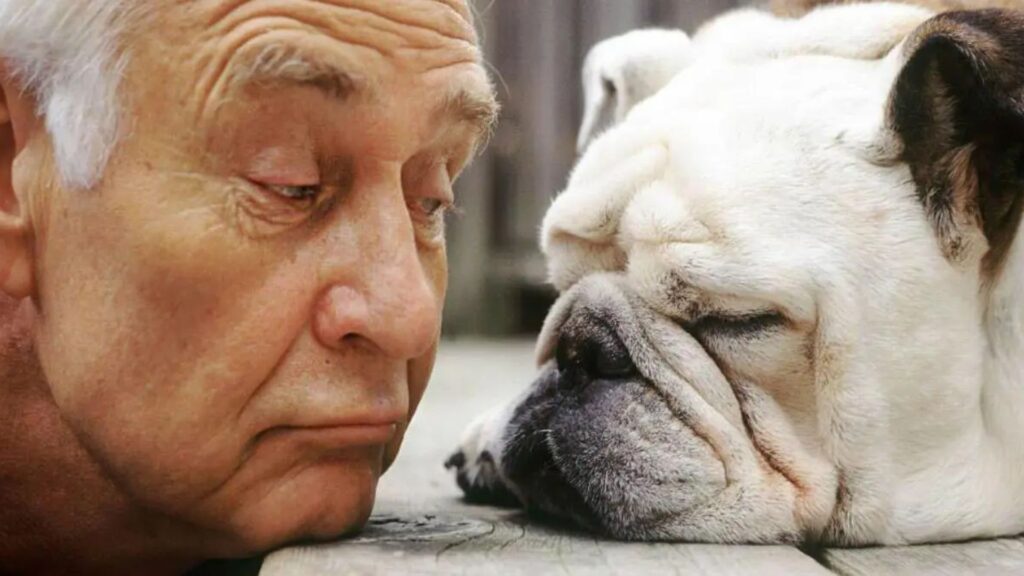 Old Man Dog Names Boy