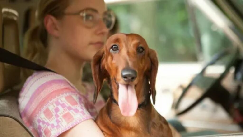 Wiener Dog Names