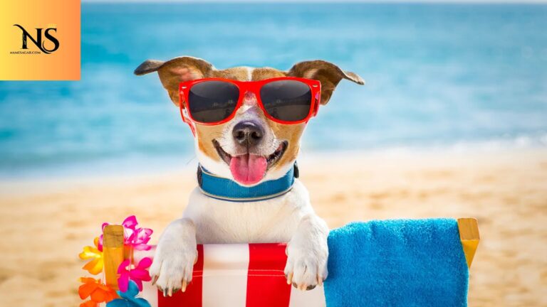 350 Aesthetic Hawaiian Pet Names Inspired by Island Life 2026