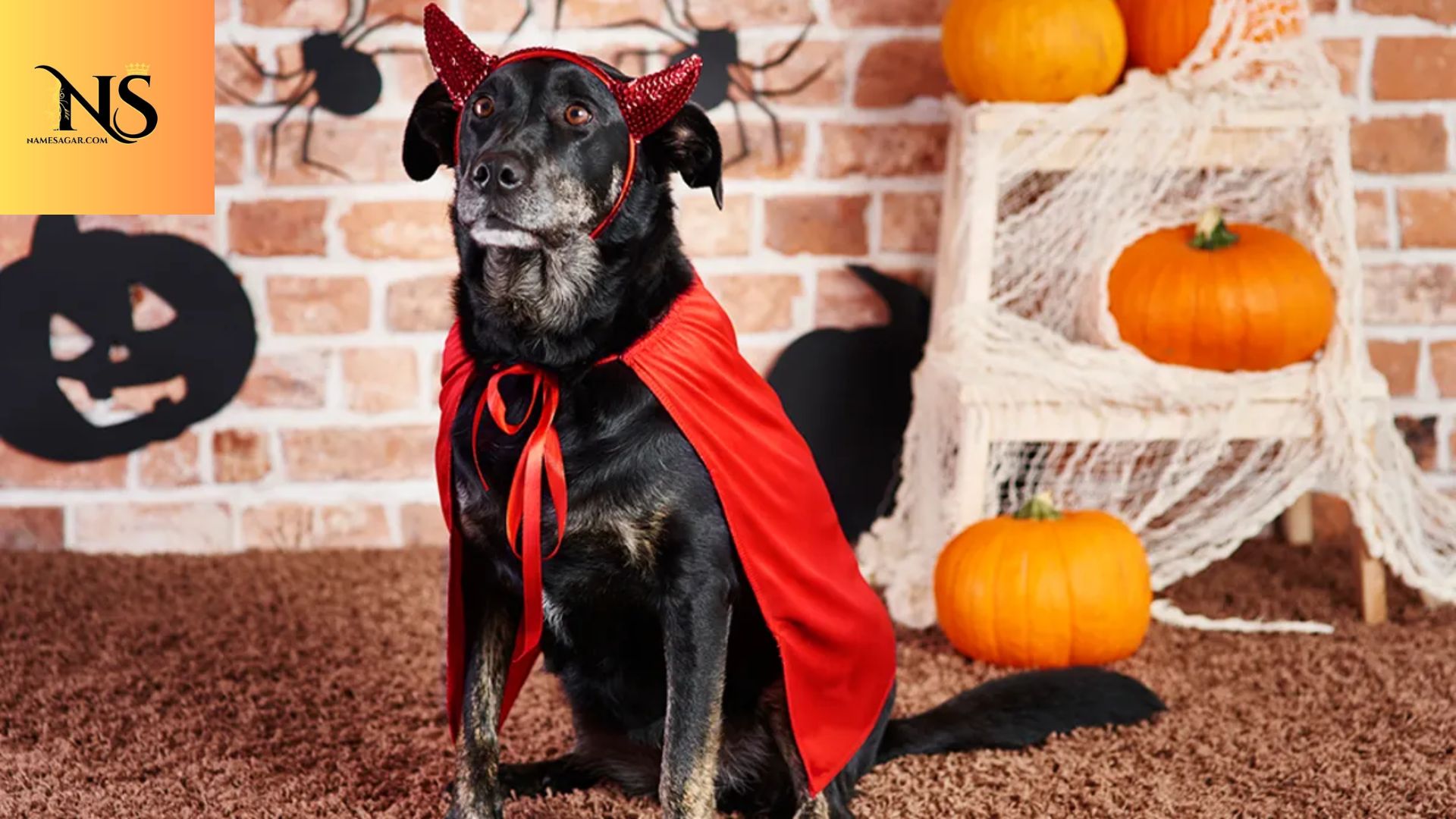 350 Best Spooky Pet Names With Meaning for 2026