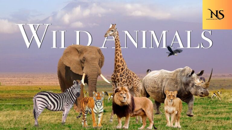 400 Best Wild Animals with Names & Meanings for 2026